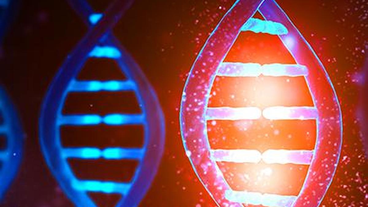 What is a ‘pantranscriptome’?
