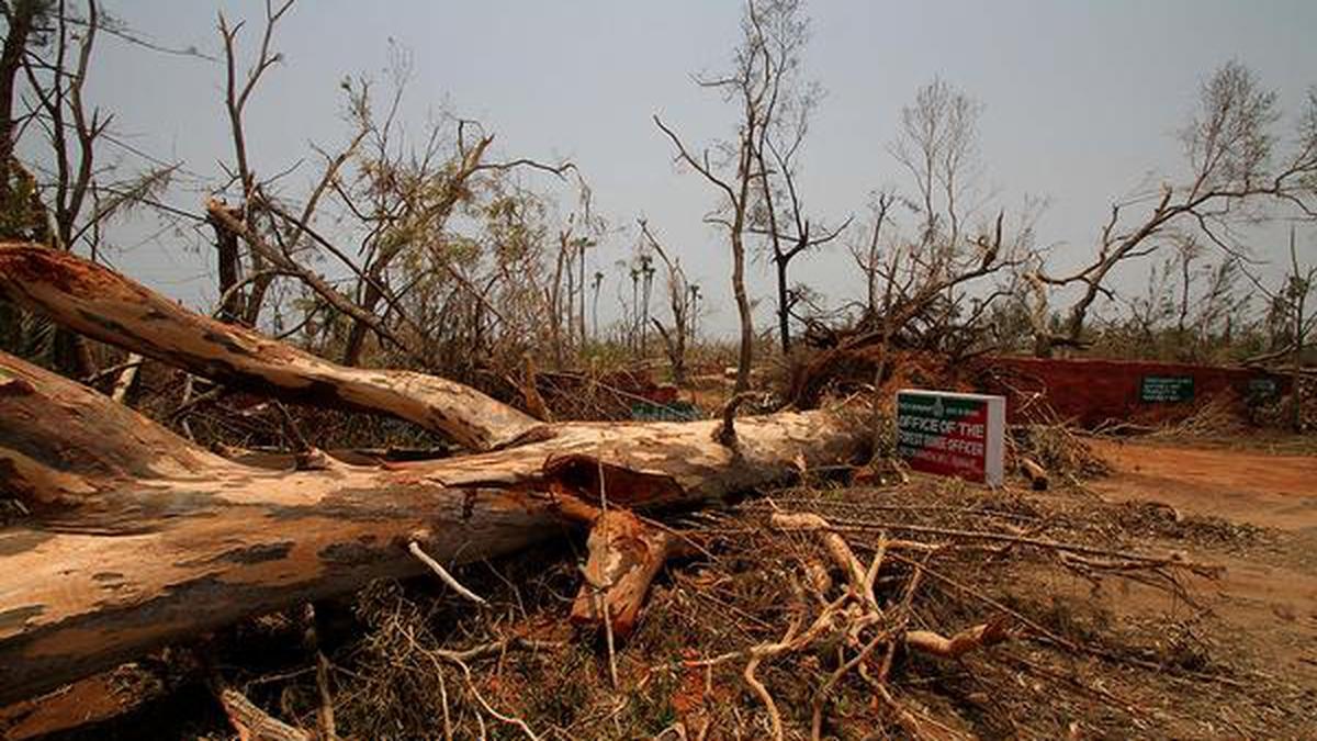 NGT rules against diversion of forest land in central Bhubaneswar