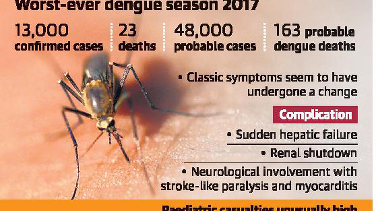 Expert panel to review dengue clinical norms - The Hindu