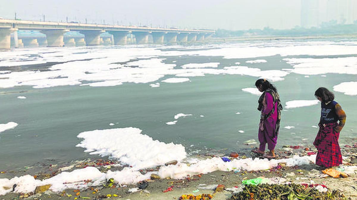 Festivals like Chhath Puja will be celebrated on its banks: BJP MLA-elect Raj Bhatia after Yamuna cleaning work started