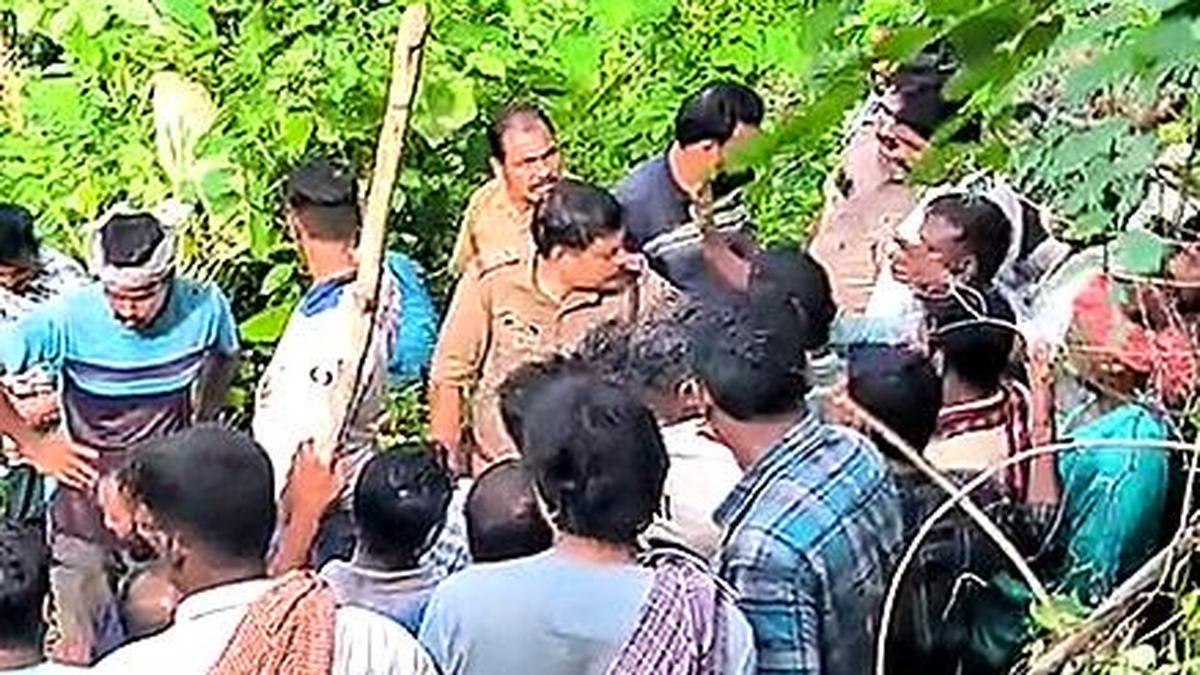 Search on for man-eater tiger at Kalikavu in Kerala’s Malappuram