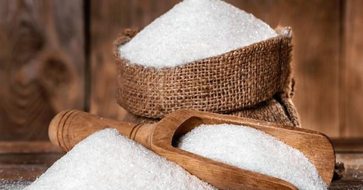 WHO advises against use of sugar substitutes for weight loss The Hindu