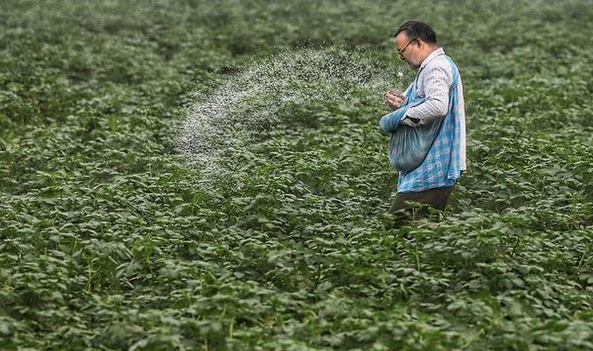 thehindu.com - The Hindu Bureau - Amidst West Asia crisis, India purchased natural gas at $19/unit from spot markets for fertiliser units