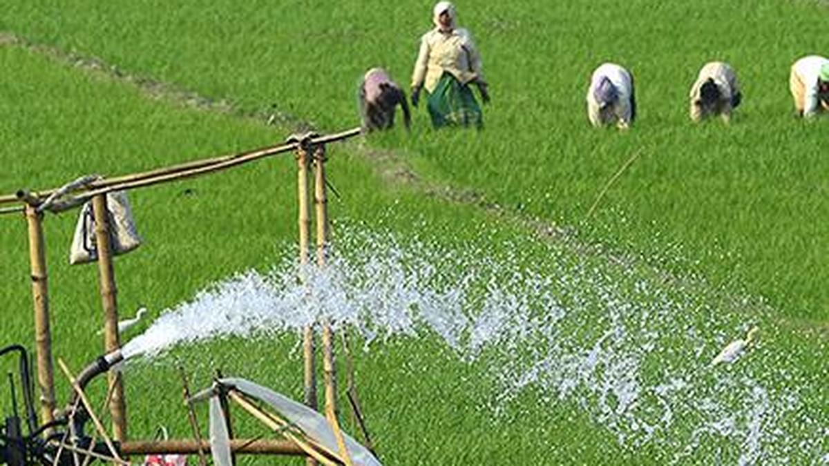More than 20 lakh Assam farmers get ₹422 crore under PM-KISAN scheme