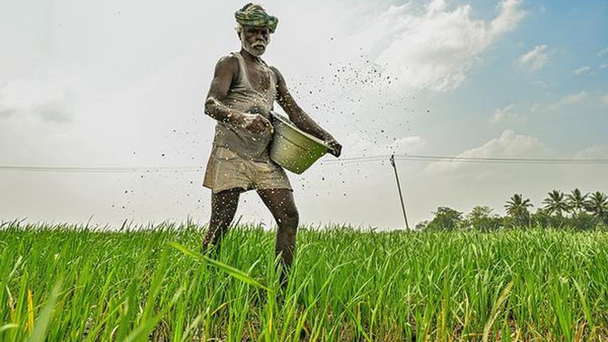 Fertiliser subsidy bill for FY27 may rise by ₹70,000 crore on West Asia crisis: Official