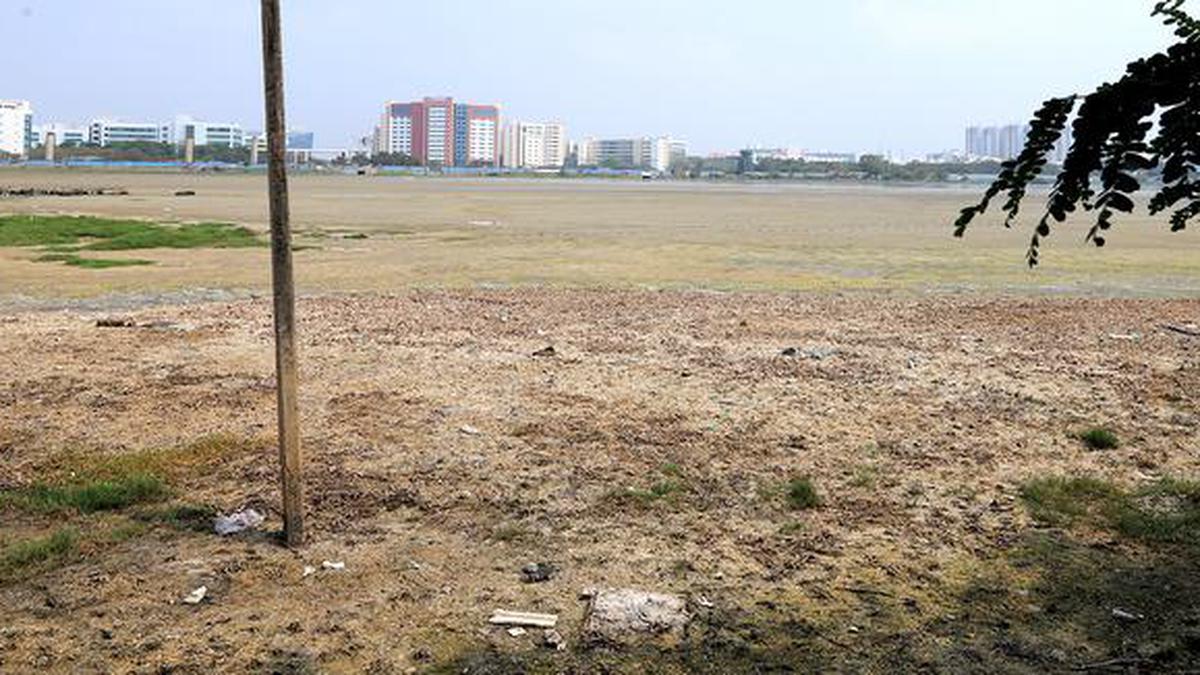 Is Perumbakkam wetland witnessing a premature close to the migratory season?