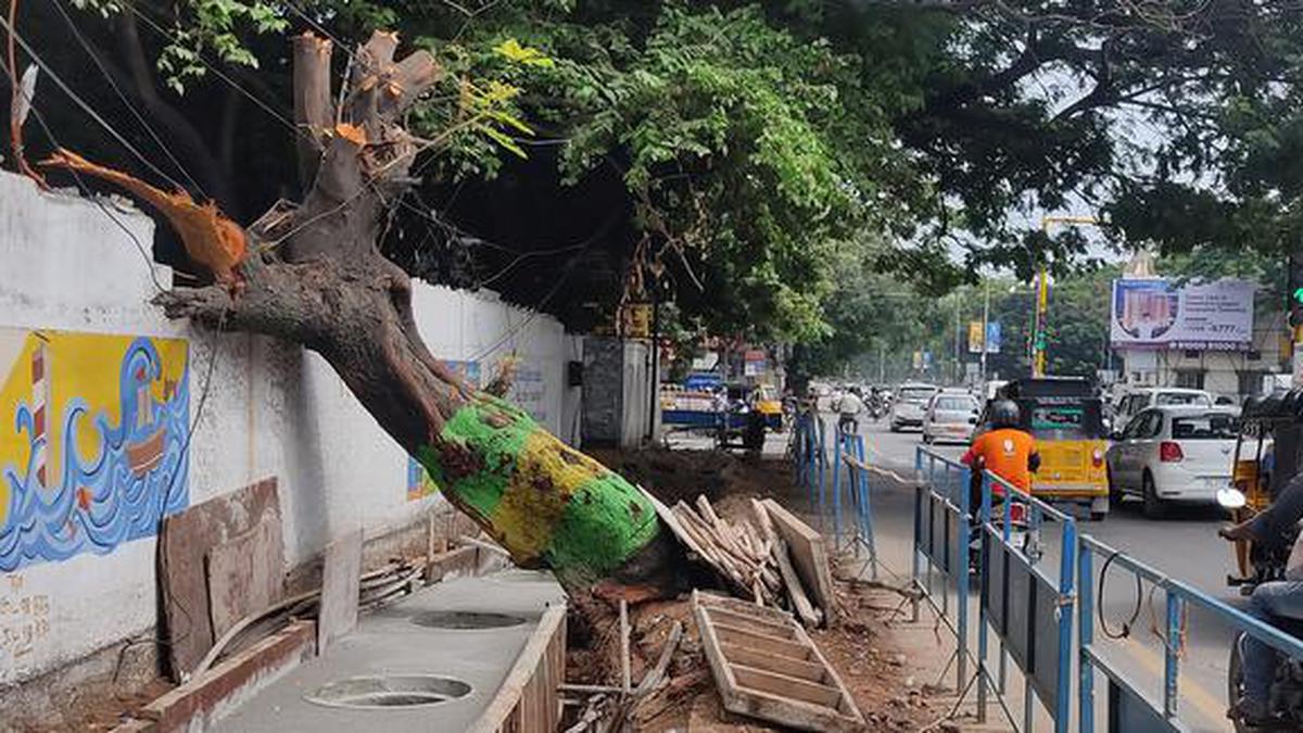 Green casualties in the battle against flooding