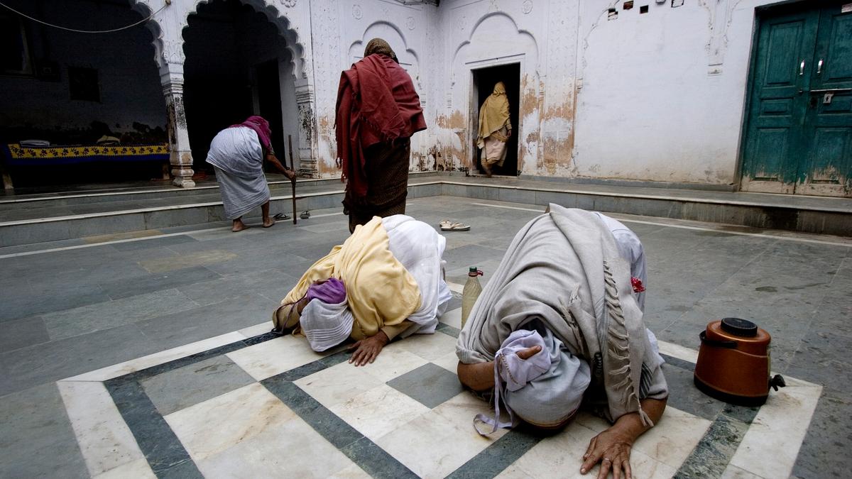 Called by the cult | Review of The Cost of a Promised Afterlife by Priyamvada Mehra