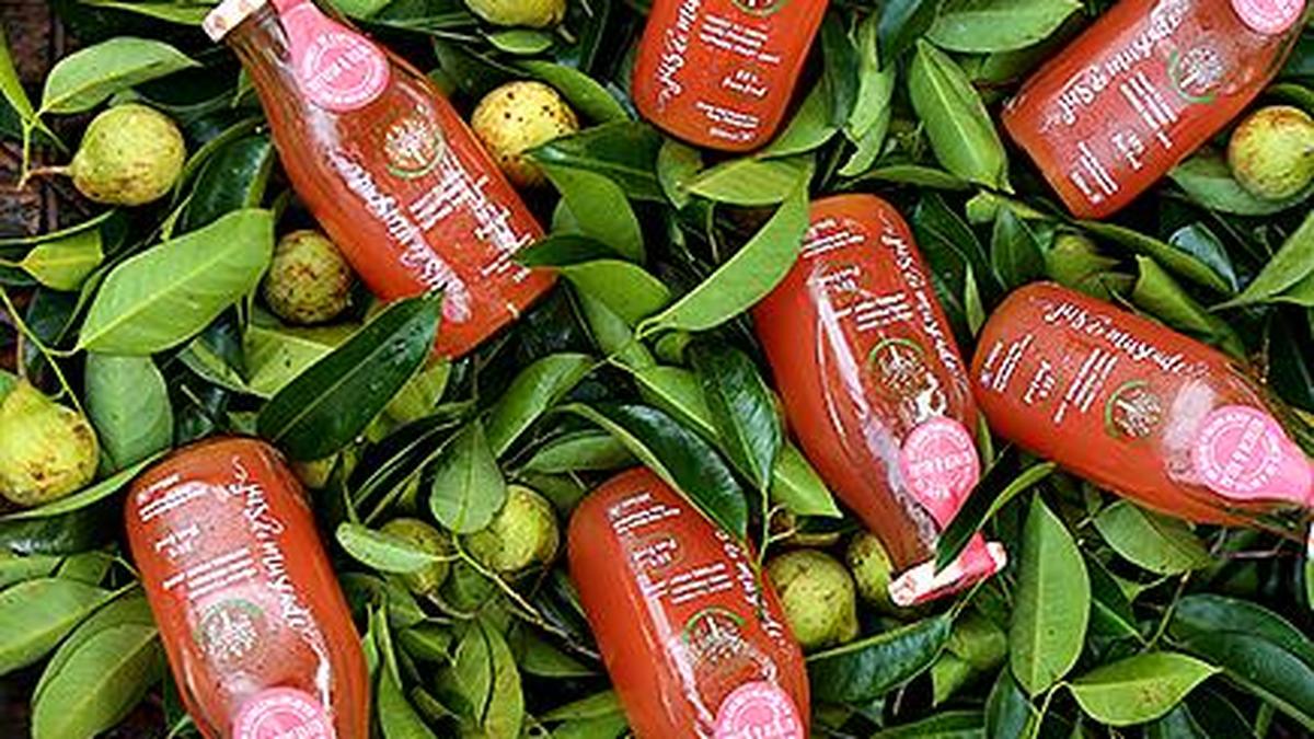 Juice to the nutmeg The Hindu