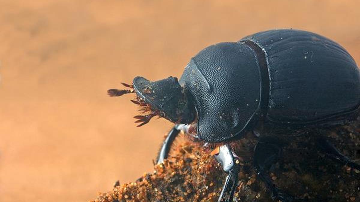 Science Snapshots: May 31, 2026