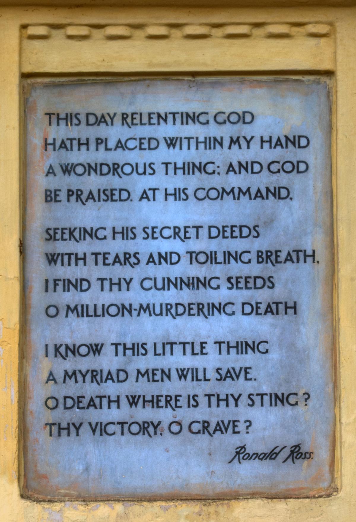 Reference image for Question M.