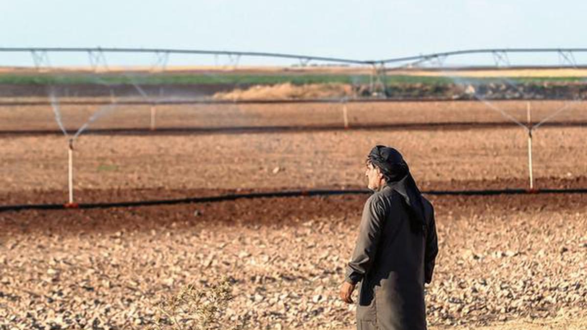 Syrian farmers forced to abandon their land for steadier jobs