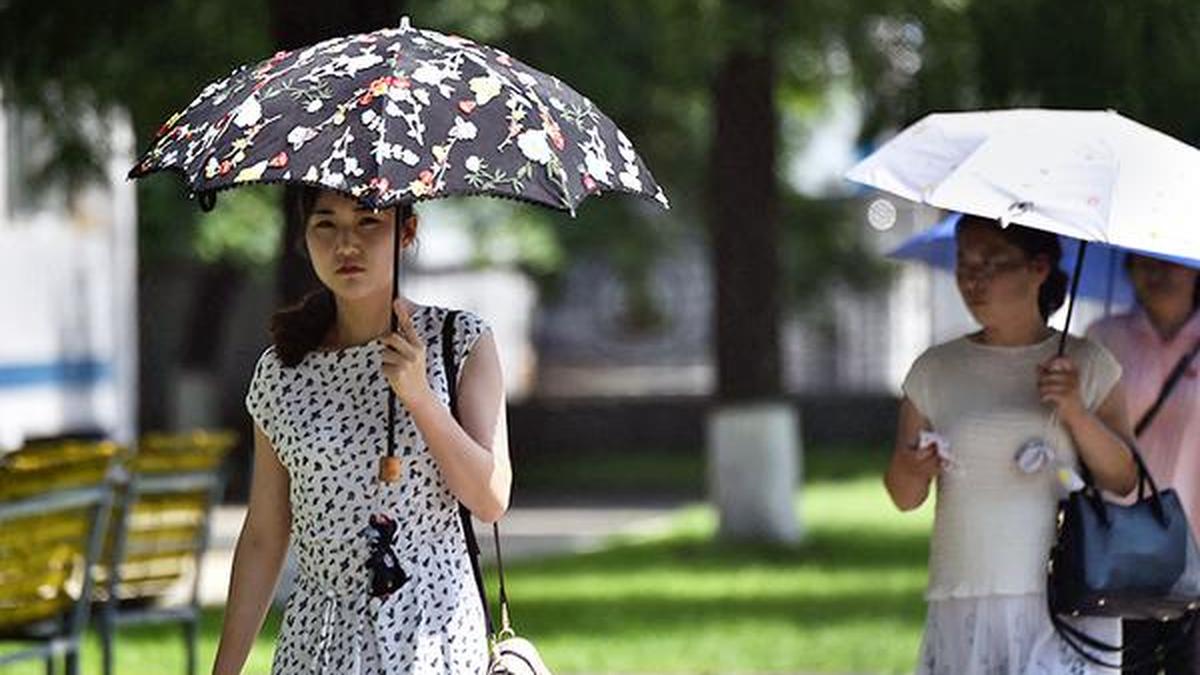 Korean Peninsula struggles under severe heatwave