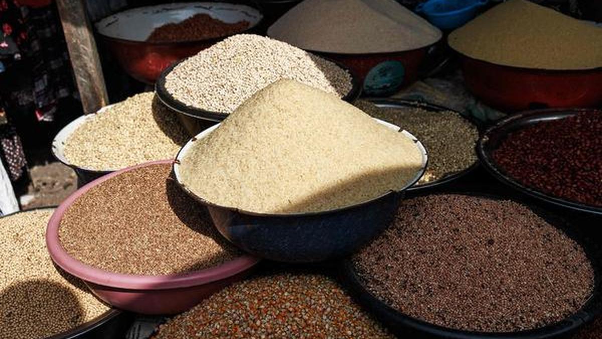 Acute food crisis compounds woes of Nigerians already plagued by conflicts
