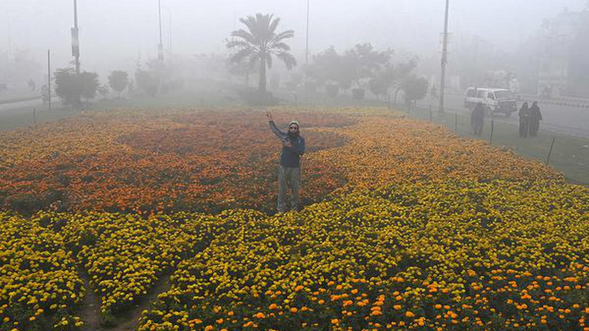 Air pollution and geopolitics lead to cross-border challenges in South Asia