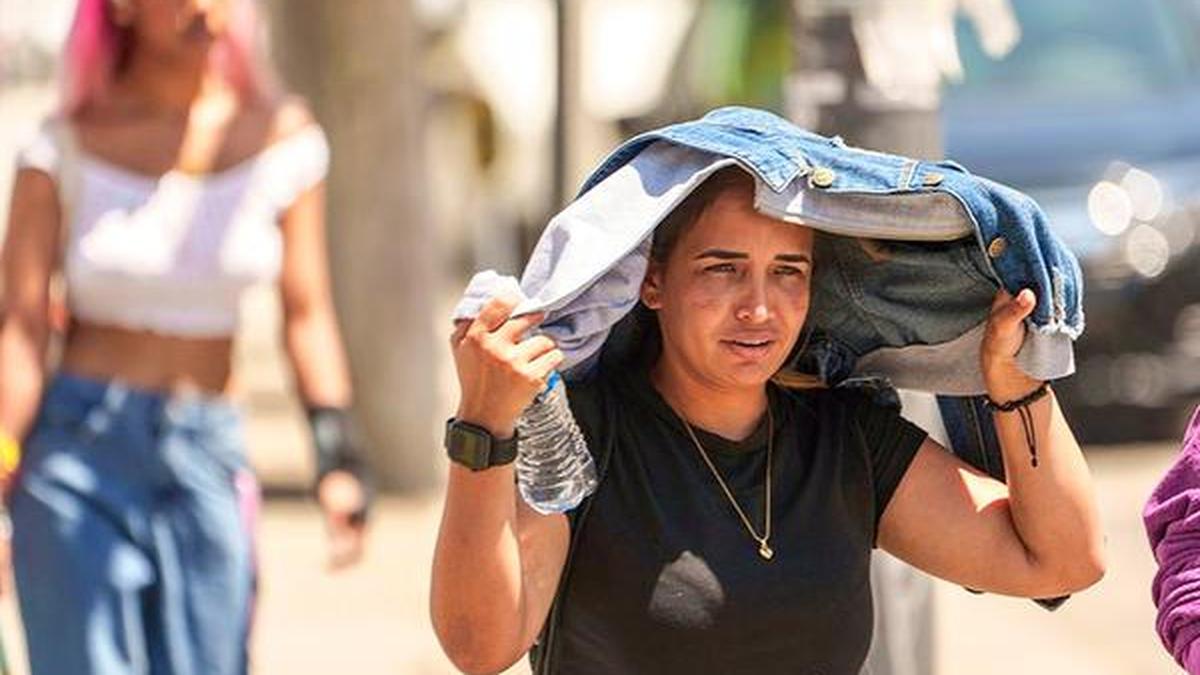 January 2024 warmest on record: European climate agency