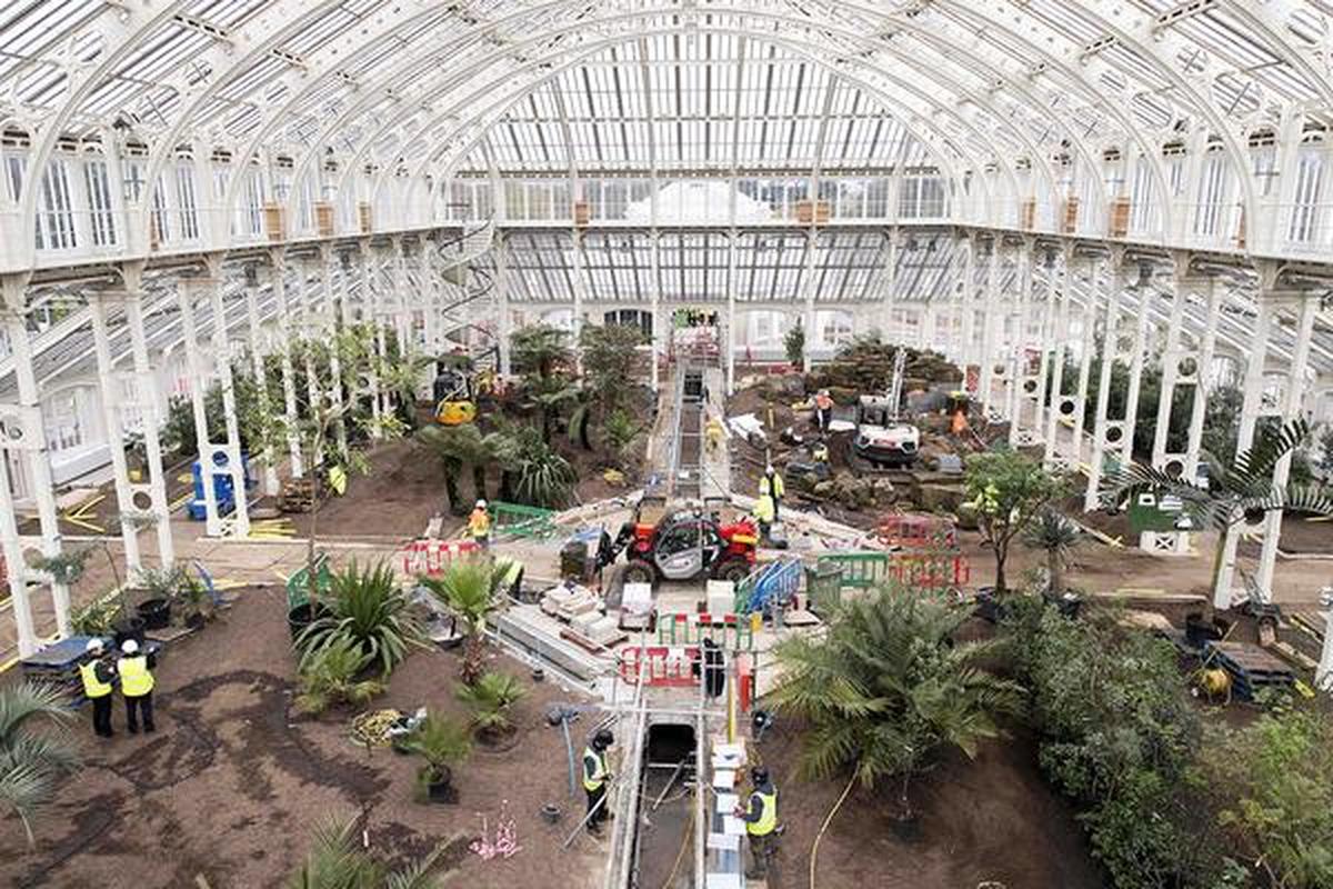 Britain’s Kew Gardens were crucial in coordinating global exchanges of seeds and specimen