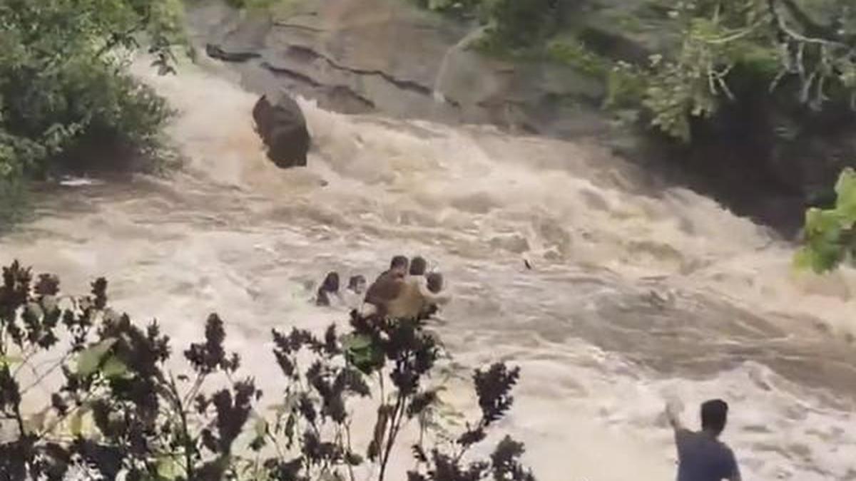 Pune waterfall tragedy: all 5 bodies found