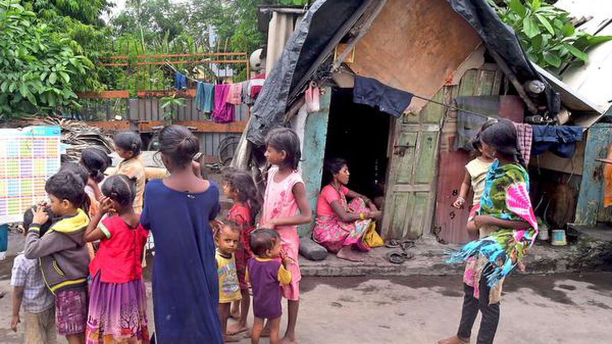 Yanadis tribe: Less visible and left out in Andhra Pradesh
Premium