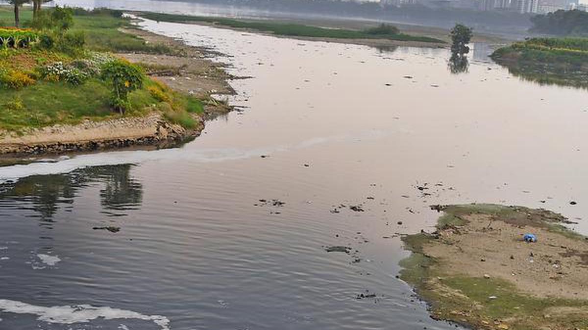 Islands of trouble in the Hussainsagar