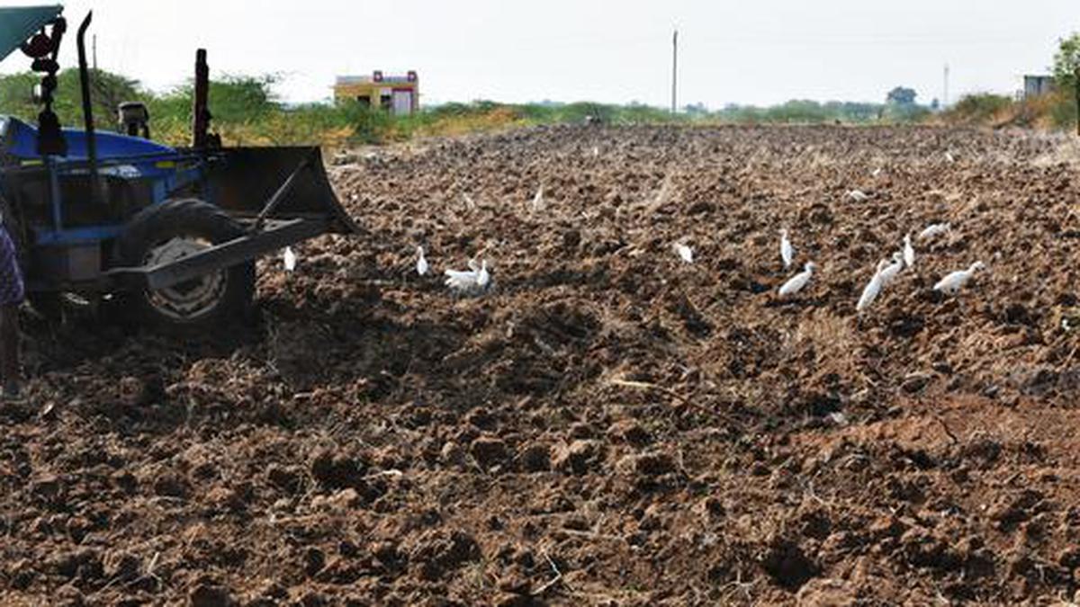 Between drought and despair in Andhra