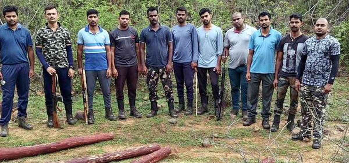 Andhra Pradesh Red Sanders Anti-Smuggling Task Force detect the strewn logs at a forest glade in Seshachalam Hills in Rajampeta division of Annamayya district.