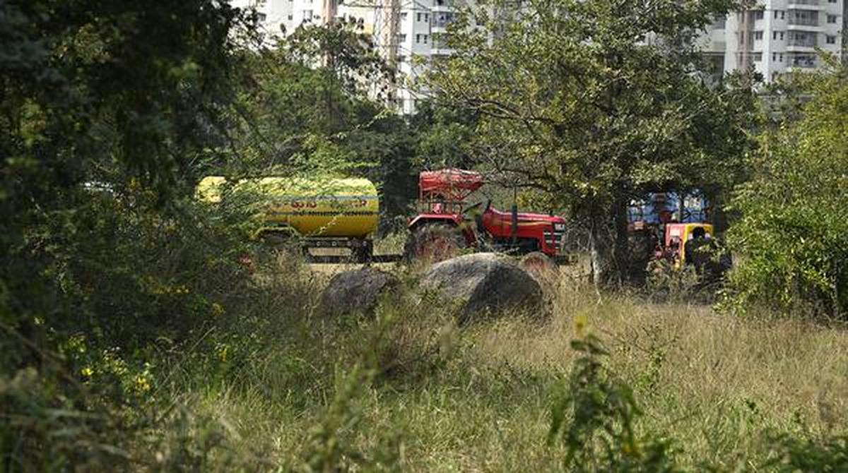 Newly-planted saplings in the south campus of University of Hyderabad. The area was a swampy grassland until September, when the HMDA razed it for the proposed Miyawaki forest plantation; nursery polybags line the path in the south campus of UoH as planting operations continue at a brisk pace; and plantation workers saplings take a break in the south campus. 