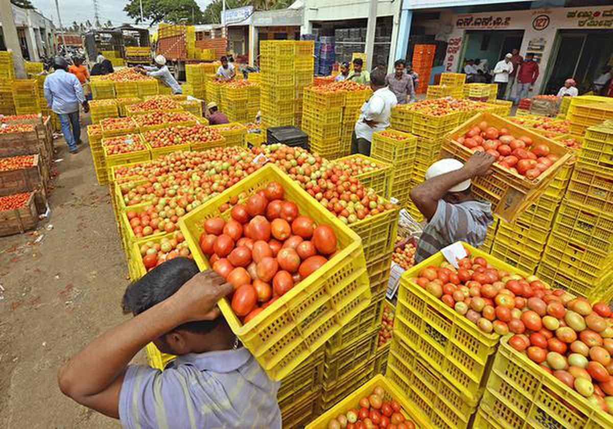 Explained | Why has tomato become so expensive? - The Hindu