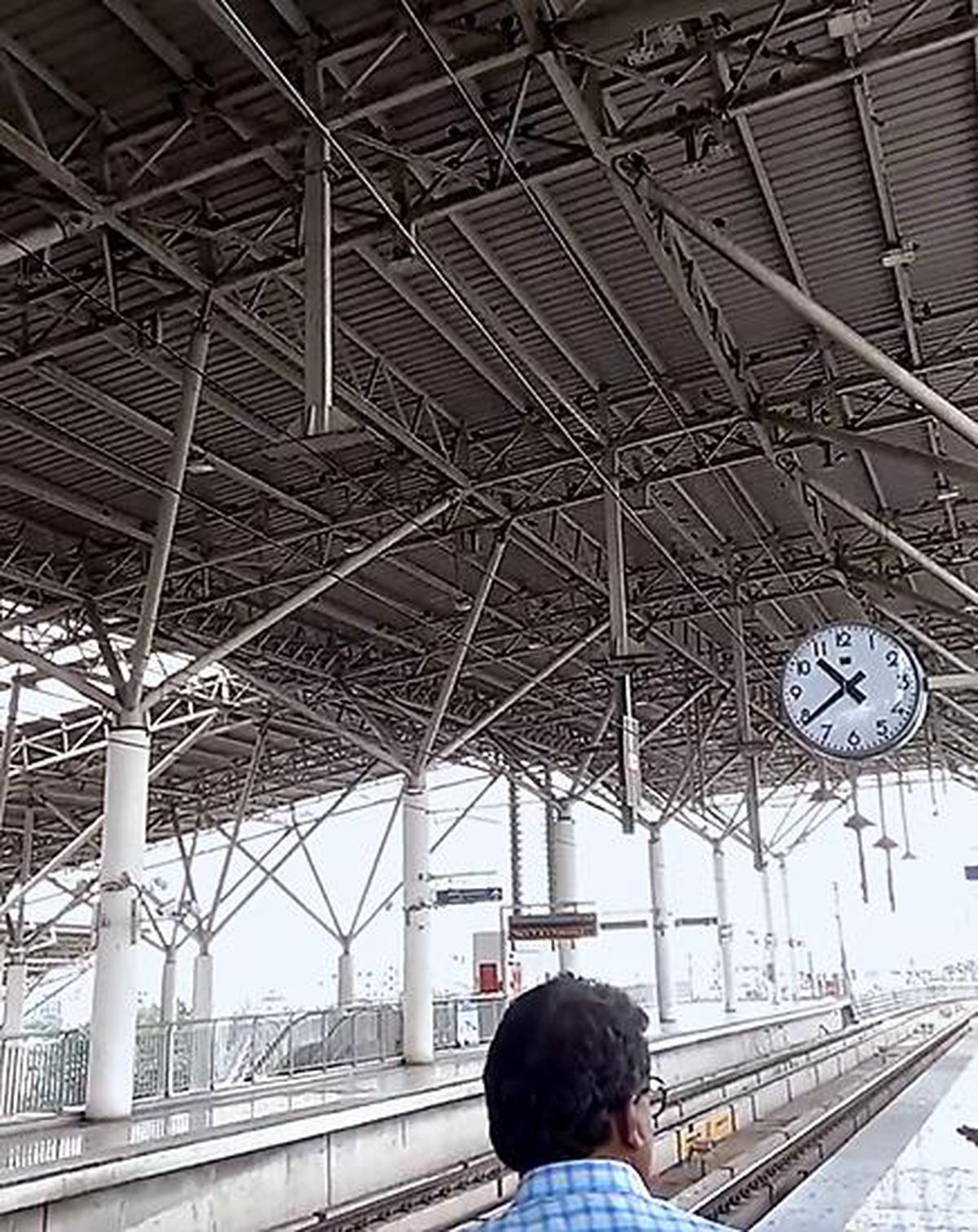 Pigeons make this metro station their home
Premium