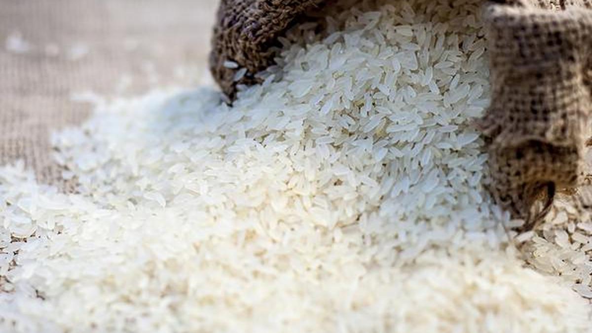 Why is artificial rice being distributed through India’s public distribution system? | In Focus podcast