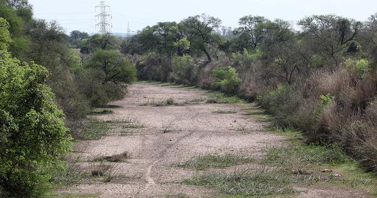 A view of a part of Sutlej-Yamuna link canal in Rupnagar district of Punjab. Akhilesh Kumar