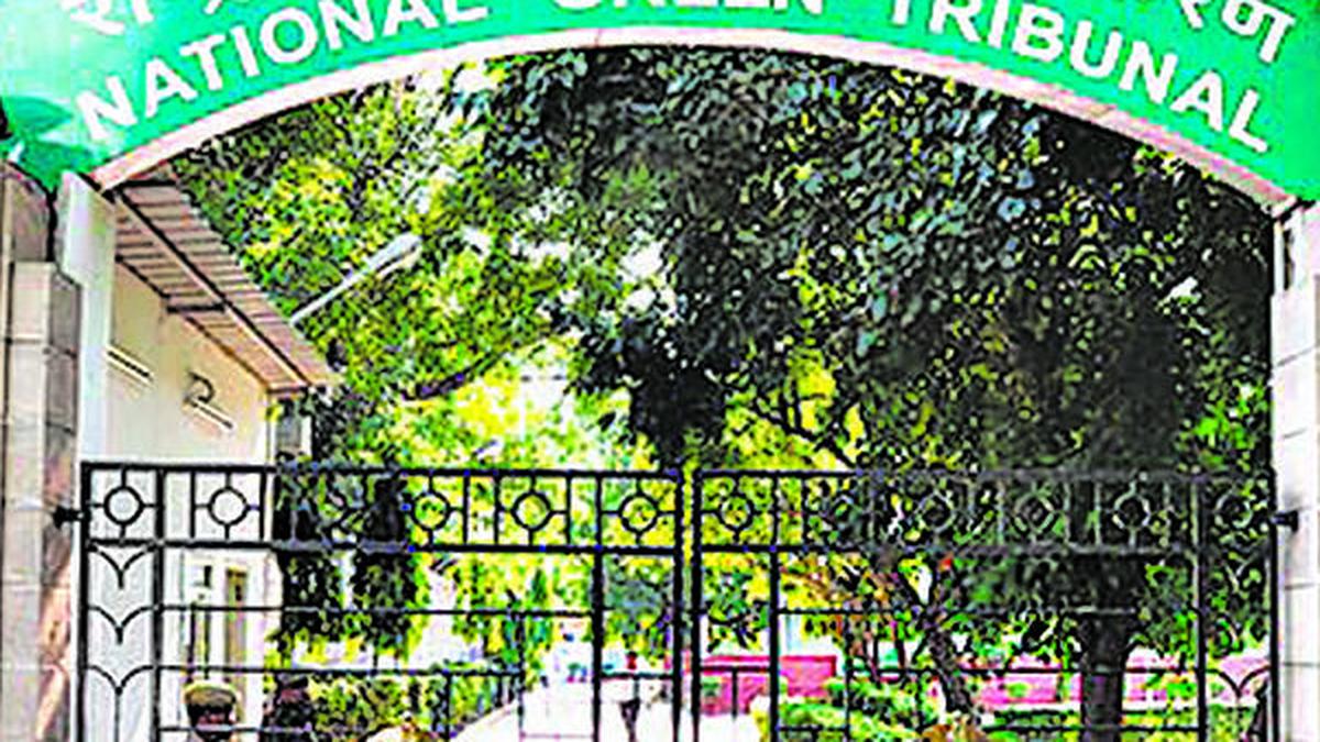 NGT takes cognisance of news report that despite spending ₹500 crore, no proper sewage system in Bhopal