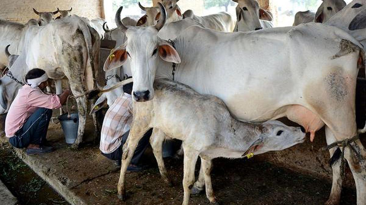 Uttar Pradesh Government launches Nand Baba Milk Mission scheme