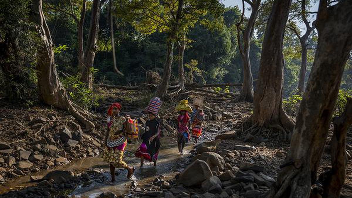 One-third of land conflicts are in constituencies where forest rights are key poll issue: report