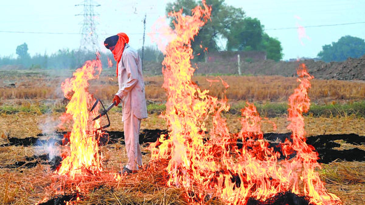 The discrepancy between satellite data of farm fires and air pollution | Explained
Premium