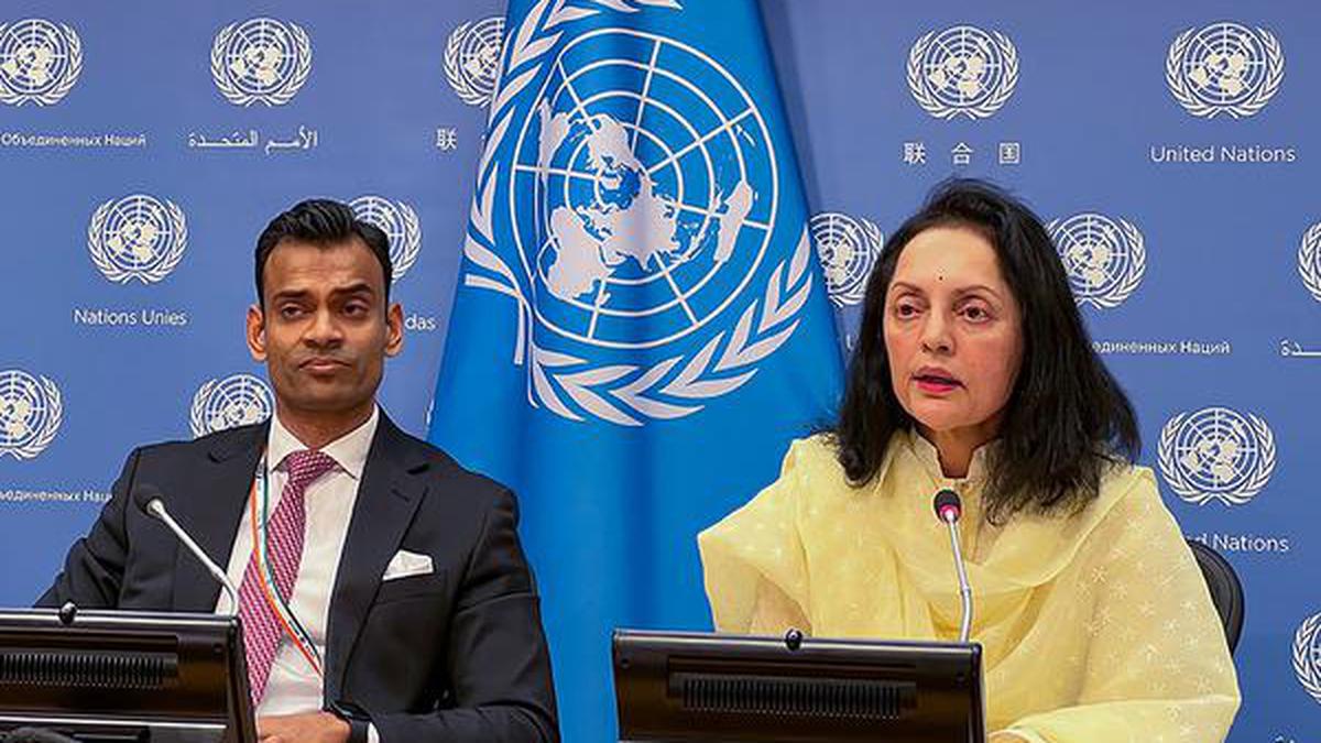 If not reformed, U.N. will be overtaken by other organisations: Indian envoy Kamboj