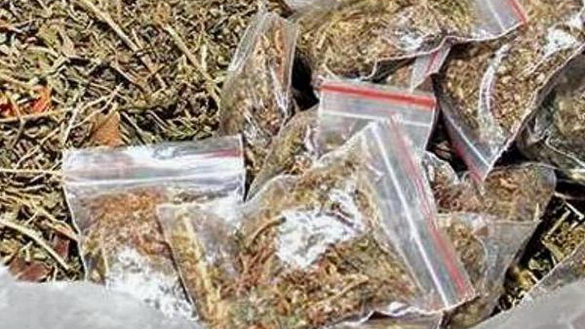 Inter-State smuggling gang busted, 180 kg ganja seized