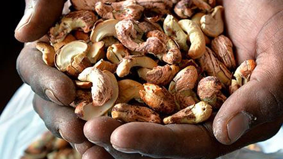 restore-incentive-for-cashew-exports-tamil-nadu-cashew-processors-and