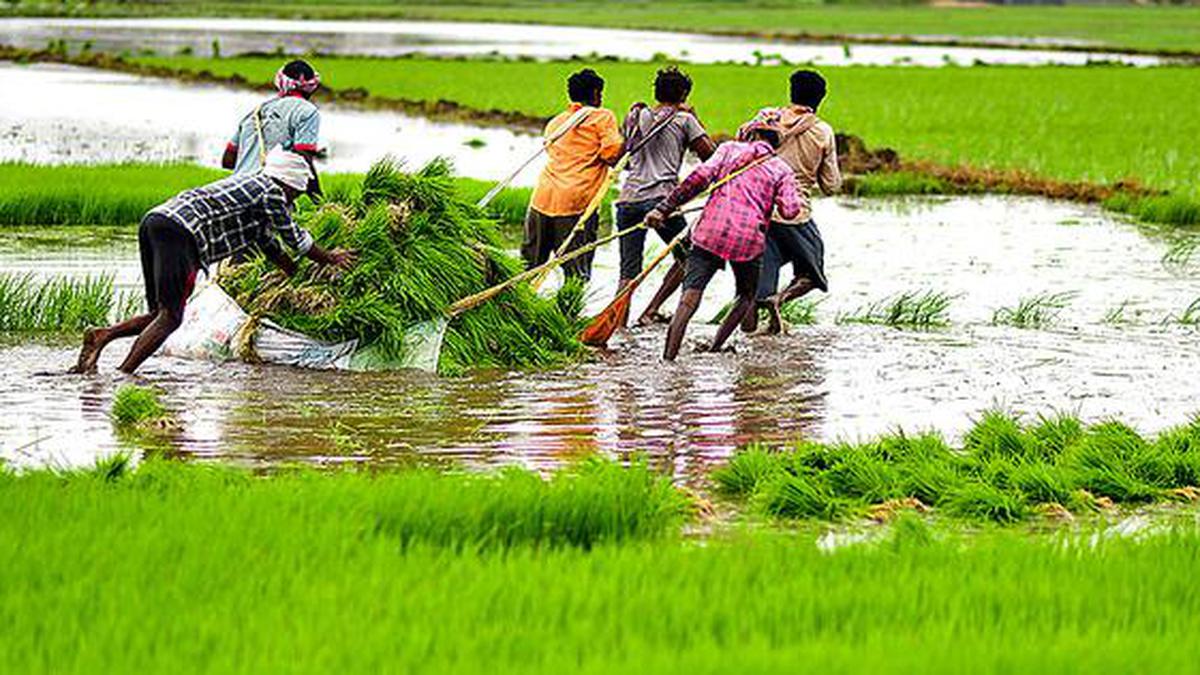 120% excess rainfall in Anantapur to be beneficial for farmers