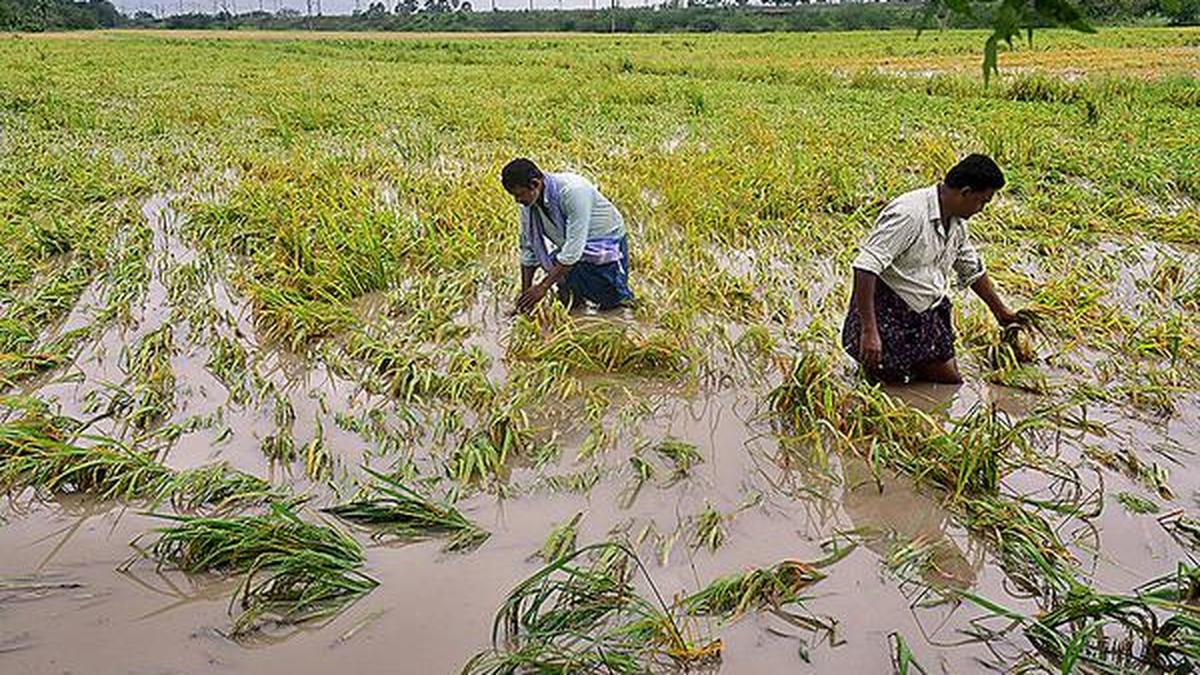 Farm loan waivers and elections: How do they affect farmers and governments?