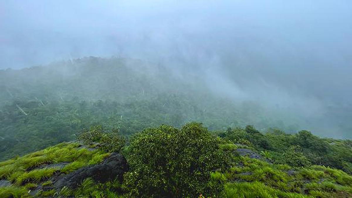 Officials told to remove encroachments on 2 lakh acres of forests in Karnataka