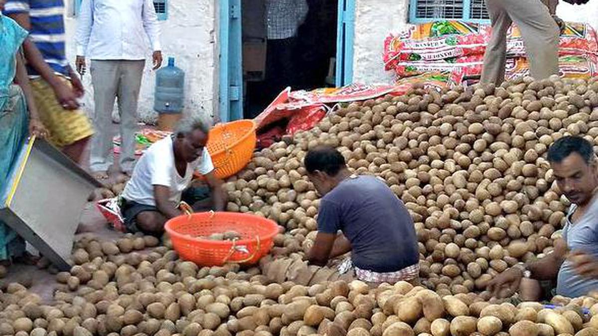 Karnataka announces support price of ₹1,250 per quintal for copra