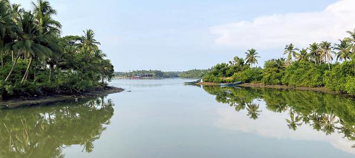 NGT directs KSPCB to prevent river water pollution around Mangaluru, sets timeline