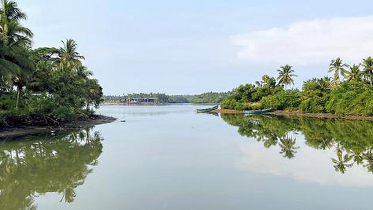 NGT directs KSPCB to prevent river water pollution around Mangaluru, sets timeline