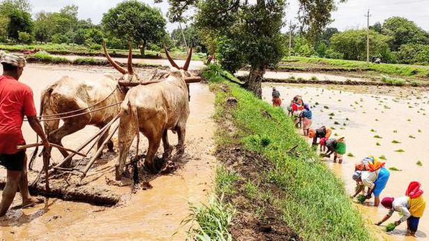 Centre restores farm loan interest subsidy, approves fillip of ₹34,856 crore