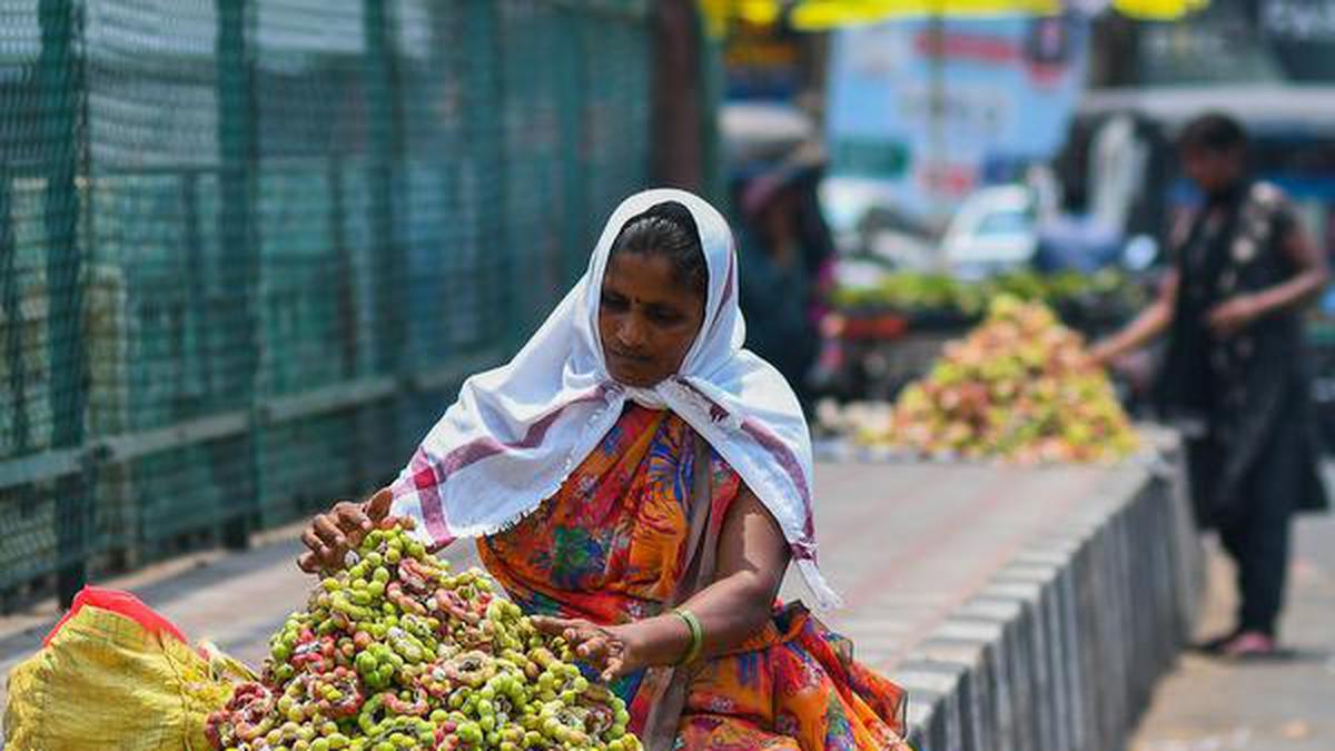 Explained | What is the relative humidity and why does it matter on a hot day?
Premium