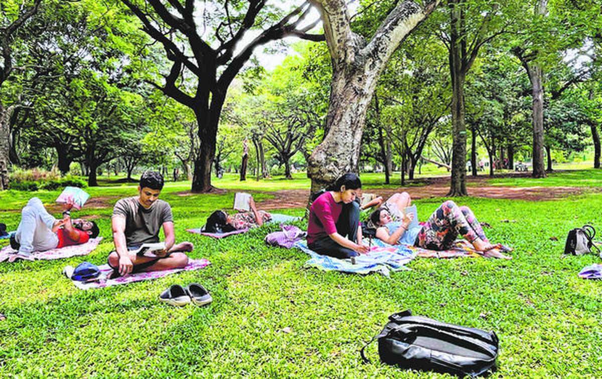 लोग क्यूबन पार्क में पढ़ रहे हैं लोग क्यूबन पार्क में पढ़ रहे हैं