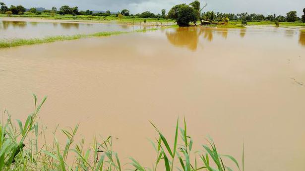 Karnataka seer evacuated as mutt inundated by river water