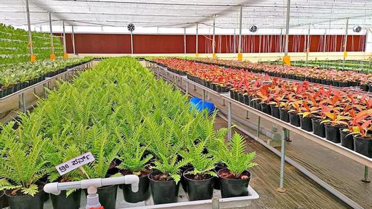 Expert committee to examine feasibility of setting up agriculture university in Mandya