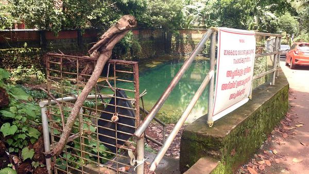 https://th-i.thgim.com/public/todays-paper/tp-national/tp-kerala/cn08x1/article68351009.ece/alternates/LANDSCAPE_1200/Pond_GM4D09PB7.1GM4D09PB9.3.jpg